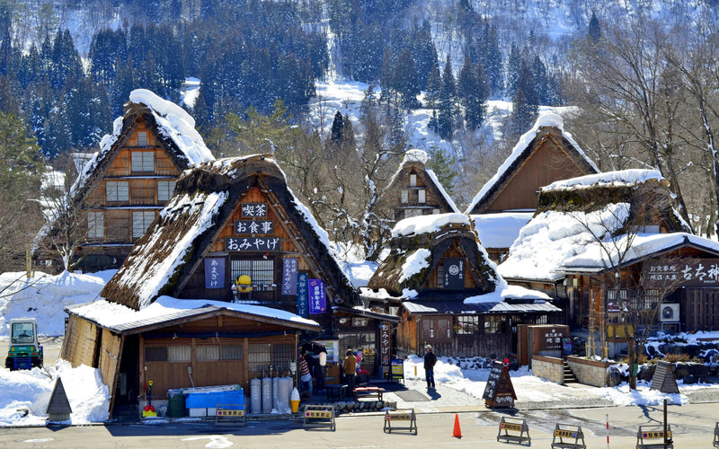 Shirakawa-go — Before the World Wakes